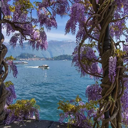 Bellavista Del